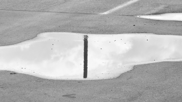 Illustration for article titled Boston’s Best Puddles To Dip Your Face In And Blow Bubbles